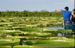 Los argentinos representan 75.07% de todas las visitas que experimentó Paraguay en el 2017. En ese periodo llegaron 1.189.074 turistas argentinos
