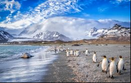 A diferencia de Falkland Islands Tourist Board, FITA se trata de una organización de membrecía abierta a todos aquellos con intereses en la industria del turismo