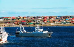 Pesqueros en la rada de Stanley, La zafra del calamar Loligo, concluida el 5 de mayo, logró una captura récord de 43.000 toneladas. (Foto Beauchene Fishing Co.Ltd.)  