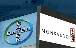 Para Bayer en el 2050 habrá un mundo con 10.000 millones de personas que alimentar y tierras cultivables limitadas y perturbadas por el calentamiento global. 