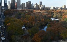 “Por más de un siglo, convertimos partes del parque más icónico del mundo en una autopista. Pero hoy, lo retomamos para siempre”, el alcalde Bill de Blasio dijo