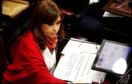 Es una pena que no hayamos alcanzado un consenso, el problema va a seguir existiendo, exactamente como existía antes de la discusión dijo Cristina Fernández