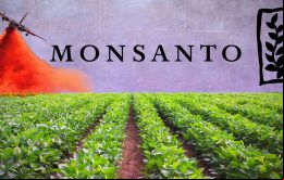 Monsanto actuó con “malicia” y su herbicida RoundUp, y su versión profesional RangerPro, contribuyeron “sustancialmente” a la enfermedad terminal de Johnson