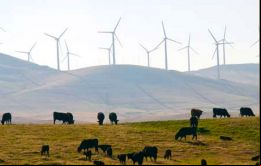 El pasado mes de septiembre fue de importancia histórica para Uruguay con el 48,94% de la demanda de electricidad satisfecha a través de la energía eólica.