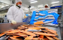 Los envíos de salmón a Asia se han duplicado en 2018, en comparación con el año anterior.