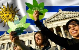 Uruguay fue el primer país en legalizar la marihuana en 2013