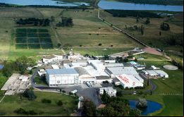 Con una planta con capacidad diaria para 1.000 vacunos o 4.200 ovinos, FSJ faena anualmente 350.000 animales y su negocio está orientado a la exportación