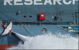 La CBI ha favorecido la promovido desarrollos científicos y técnicos que son de vital importancia para la ciencia marina y los recursos marinos del planeta.
