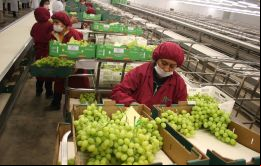 El ministro de Agricultura peruano, Gustavo Mostajo dijo que, si bien el principal mercado sigue siendo EE.UU. y Europa, hay interés por crecer en Asia 
