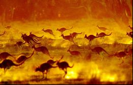La temperatura máxima media y la temperatura media de los tres meses de verano fueron por primera vez más de 2 grados centígrados superiores a medias históricas. 