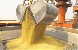 Las ventas de harina de soja a Vietnam e Indonesia fueron reemplazadas por las de Estados Unidos, solo uno de muchos cambios en los patrones del comercio global por la disputa Washington/Beijing. 