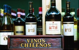 La viticultura es muy importante para Chile y ya vende US$ 2.000 millones en más de 150 países acotó el ministro de agricultura Antonio Walker 