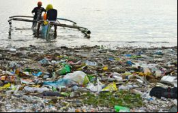 Biólogos de la Universidad de Filipinas hallaron cuatro cepas de bacterias que son capaces de biodegradar el polietileno de baja densidad (PEBD)
