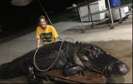 La fotografía del enorme reptil inmovilizado y con las fauces selladas junto a una niña se viralizó en las redes