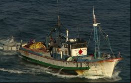 Existen globalmente significativos stocks de pesca dentro del área del Atlántico Sur 