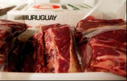 En lo que va de 2019 el mercado chino captó el 62% -un 33,4% más que en igual lapso de 2018- de la carne vacuna exportada.