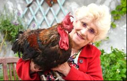 El tribunal consideró que los querellantes no habían presentado pruebas suficientes que el gallo Maurice hiciera un ruido excesivo