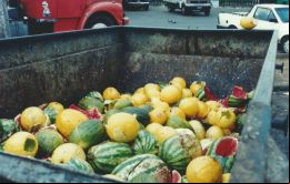 El documento de FAO indica que la región, que alberga el 9% de la población mundial, y se ubica tercera en el ranking de desperdicio de alimentos 