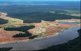 La agencia espacial INPE de Brasil dijo que la deforestación alcanzó los 9.76kms cuadrados, un alza de un 29,5% durante 12 meses a julio de 2019. 