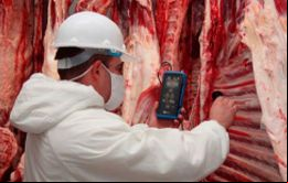 Durante 2018, la Federación Rusa fue el segundo destino en volumen de exportaciones de carne vacuna argentina, con más de 42.000 toneladas enviadas