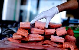 Se trata de las empresas, Biomar Chile S.A. (Biomar), Comercializadora Nutreco Chile Limitada (Skretting), Vitapro Chile S.A. (Salmofood) y Ewos Chile Alimentos