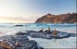 Las islas Galápagos fueron declaradas en 1978 como Patrimonio Natural de la Humanidad por la UNESCO