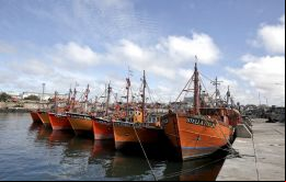 La baja de exportaciones se explica principalmente por el retroceso en el rubro langostinos, y en menor medida el calamar, aunque los desembarques de la merluza hubbsi ayudaron a moderar  