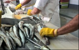 Cafrexport señaló que a la baja de precios internacionales, aumento sostenido de costos, falta de previsibilidad e irregularidad en el abastecimiento de materia prima, se sumó en diciembre último la s