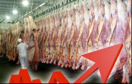 Argentina, Brasil, Paraguay y Uruguay- aumentaron en 2019 un 17%, al alcanzar un total exportado de 2.704.000 toneladas peso producto
