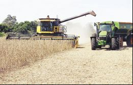 En Rio Grande do Sul, AgRural espera que una reducción en el rendimiento en ese estado, por el clima seco sea compensada por fuertes rendimientos en otros estados
