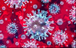 El lunes se conoció el segundo caso de coronavirus de Brasil, un hombre de 31 años que trabaja en la mayor corredora de bolsa y de inversiones de Brasil