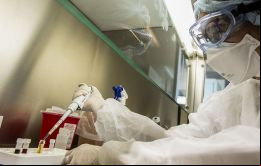 ”El hallazgo es muy importante, se logró identificar el genoma completo del virus y las tres cepas diferentes de tres pacientes distintos en la Argentina, dijo Claudia Perandones