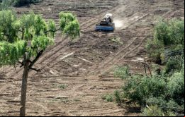 Los datos de este periodo ya se habían divulgado oficialmente en noviembre, pero ahora se revisaron y se constató que la deforestación es superior a lo que se pensaba