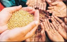 América Latina registró en los últimos cinco años un aumento del hambre que podría afectar a un 9,5% de su población en 2030, dijo FAO