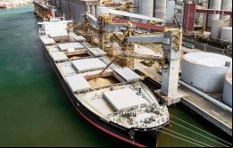 El informe precisó que las ventas del complejo sojero aportaron el 37% al total exportado, seguida por las del complejo cerealero, que explicó alrededor del 27%