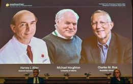 Tres científicos compartieron el Nobel de Medicina (Foto J. Nackstrand/Agence -Presse)