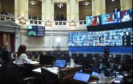 La iniciativa fue aprobada por 42 votos a favor y 27 en contra, tras un debate de cinco horas.