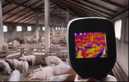  Vaca Narvaja dijo que nuestra propuesta promueve la instalación de granjas inteligentes, que son seguras, sostenibles y sustentables y no la instalación de mega-granjas con más de 100 mil madres.