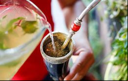 El tereré forma parte de una costumbre que se remonta a épocas anteriores de la conquista española. También es consumido en regiones de Argentina y Brasil