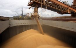 Según Indec, las exportaciones de noviembre mostraron una caída muy fuerte en las ventas de porotos de soja, maíz, trigo y carne