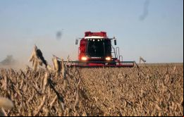 La suba de la soja se produjo luego de que el USDA recortara las proyecciones de producción del poroto tanto en Estados Unidos como en Sudamérica