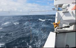CFL ha fortalecido su compromiso de cumplir con los más altos estándares ambientales en sus prácticas de pesca