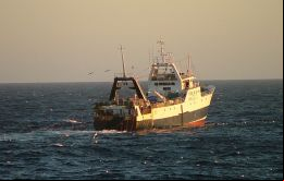 Los desafíos logísticos permanecen para el sector de la pesca y lo más probable es que se mantengan durante la segunda temporada, sostuvo MLA Barkman