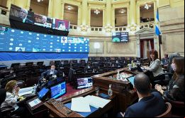 Un ingreso de 150 mil a 173 mil pesos en Argentina es para unos pocos privilegiados, dijo el senador Naidenoff.