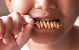 Comer gusanos podría traer ventajas medioambientales (Foto:Shutterstock) 