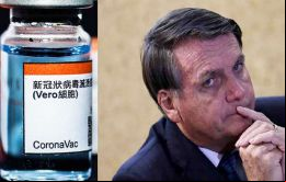 Todo lo que se necesita para que China reanude el envío de IFA es una disculpa de Bolsonaro