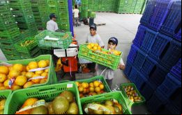 Las exportaciones brasileñas alcanzaron US $ 37 mil millones solo en 2020 y US $ 419 mil millones, entre 2000 y 2020