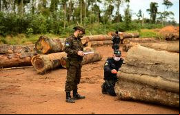 La deforestación ha aumentado después de la elección de Bolsonaro en 2018