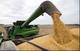 El área plantada con soja en EE.UU. fue casi 600,000 hectáreas inferior a las las proyecciones del mercado, según un nuevo informe de la USDA.