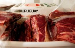 Hong Kong parece ser la respuesta para las ventas de carnes